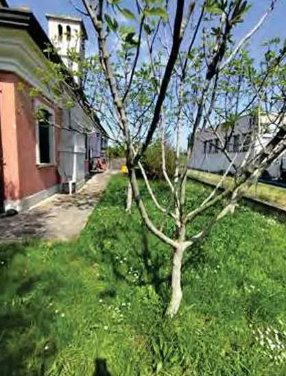 Casa indipendente in vendita a Ariano nel Polesine - foto 10