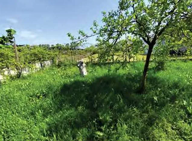 Casa indipendente in vendita a Ariano nel Polesine - foto 9