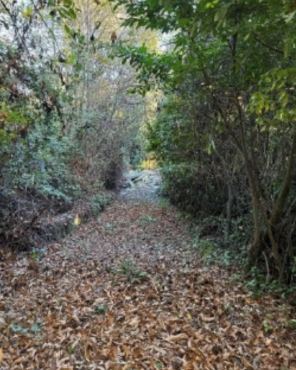 Villetta a schiera in vendita a Genazzano - foto 3