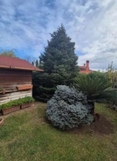 Villa in vendita a Capena - foto 7