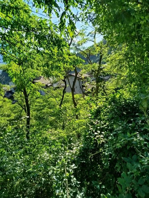 Rustico in vendita a Castione Andevenno - foto 10