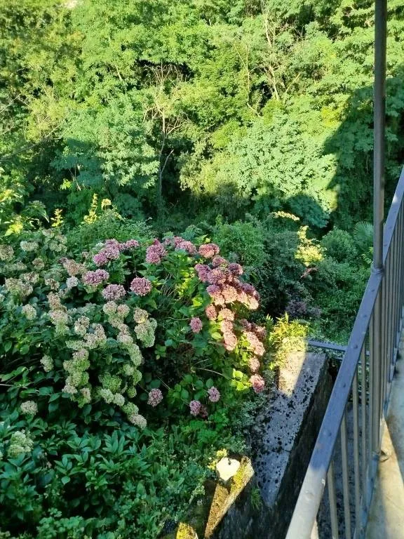 Rustico in vendita a Castione Andevenno - foto 6