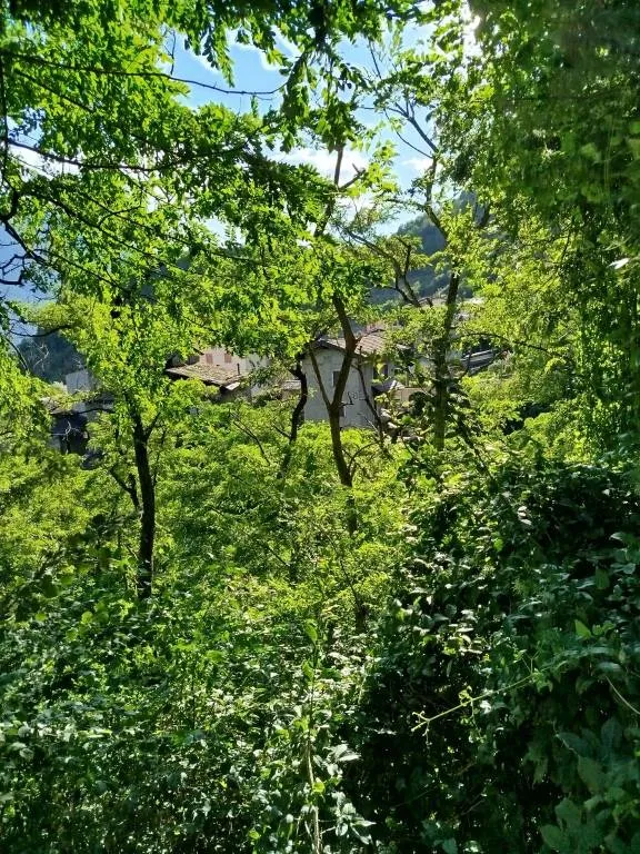 Rustico in vendita a Castione Andevenno - foto 8
