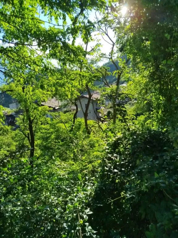 Rustico in vendita a Castione Andevenno - foto 9