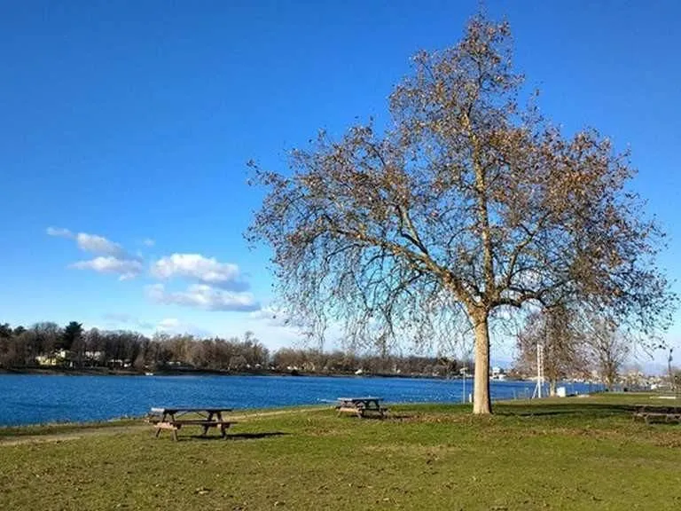 Stabile in vendita a Peschiera Borromeo - Bettola Zelo Foramagno - foto 7