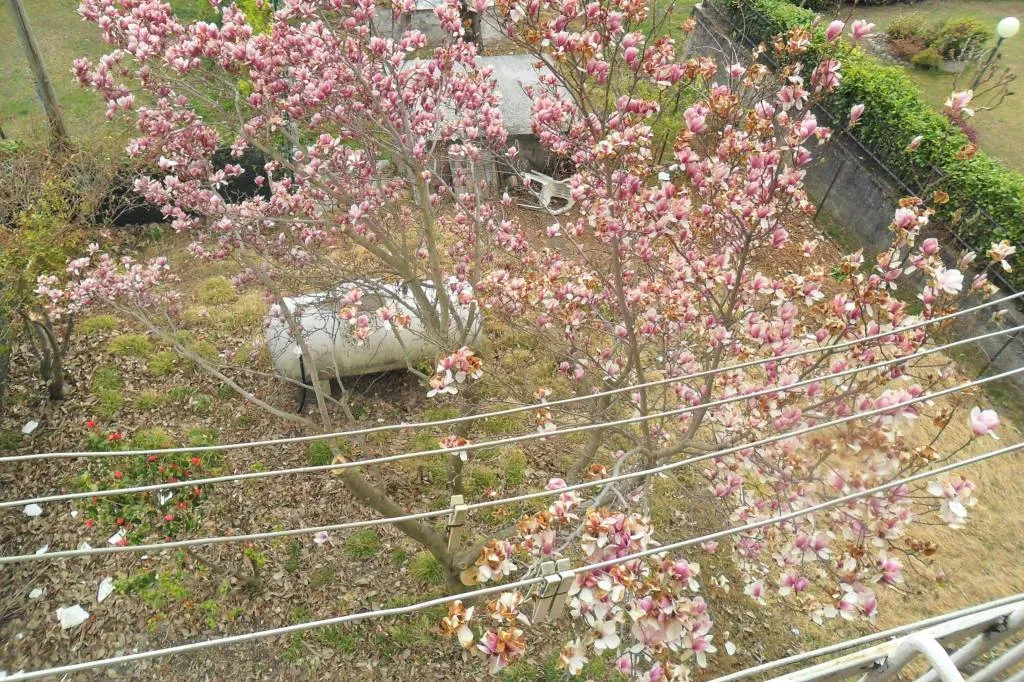 Rustico in vendita a Berbenno di Valtellina - Monastero - foto 2