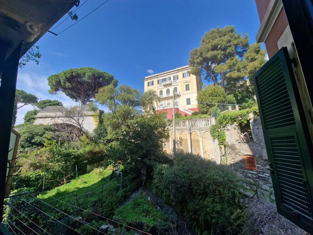 Appartamento in vendita a Zoagli - Centro - foto 3