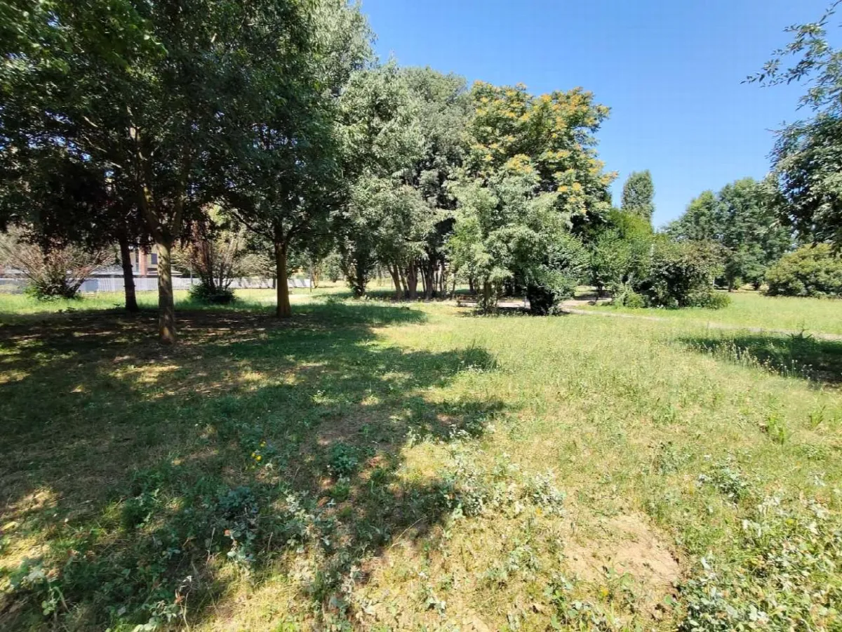 Appartamento in vendita a Abbiategrasso - foto 5