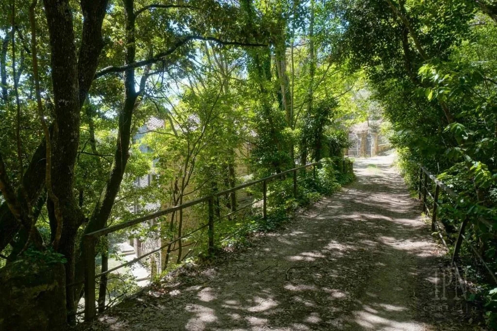 Villa in vendita a Cortona - foto 9