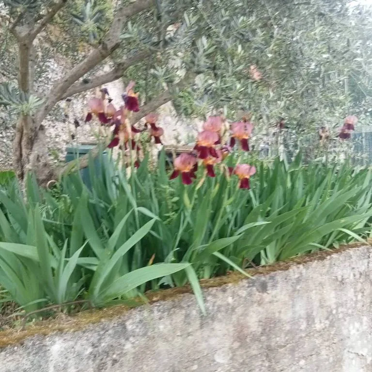 Appartamento in vendita a San Nicola Manfredi - Centro - foto 9