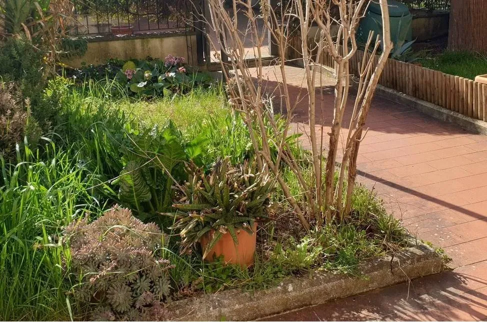 Casa indipendente in vendita a Carmignano - Comeana - foto 1