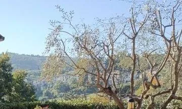 Appartamento in vendita a Carmignano - Comeana - foto 10