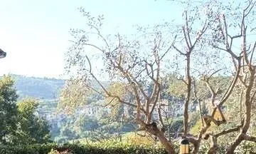Appartamento in vendita a Carmignano - Comeana - foto 2