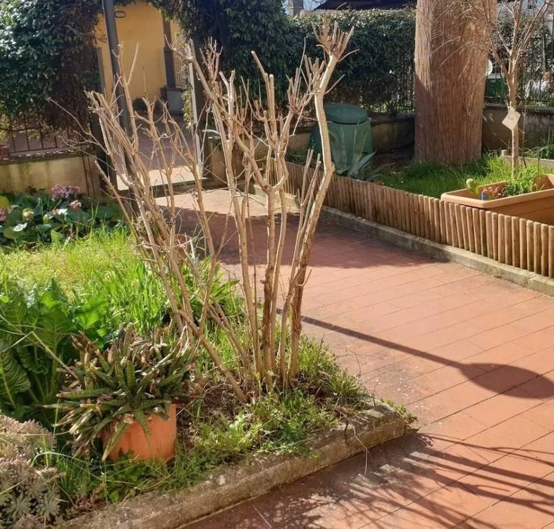 Casa indipendente in vendita a Carmignano - Comeana - foto 1