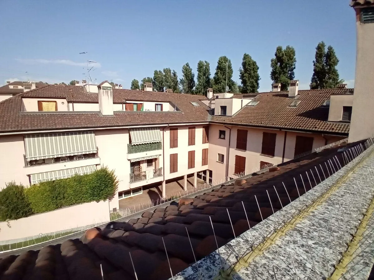 Attico in vendita a Corbetta - foto 7