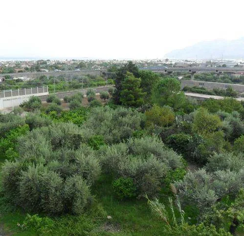 Appartamento in vendita a Carini - Fondo Dominici - foto 4