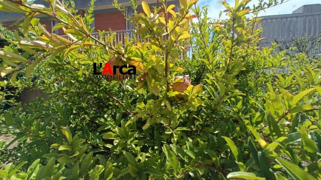 Villa in vendita a Alessano - Centro - foto 5