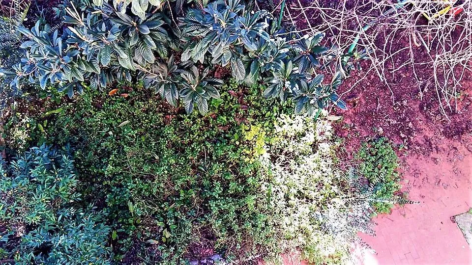 Casa indipendente in vendita a Poggio a Caiano - Centro - foto 8