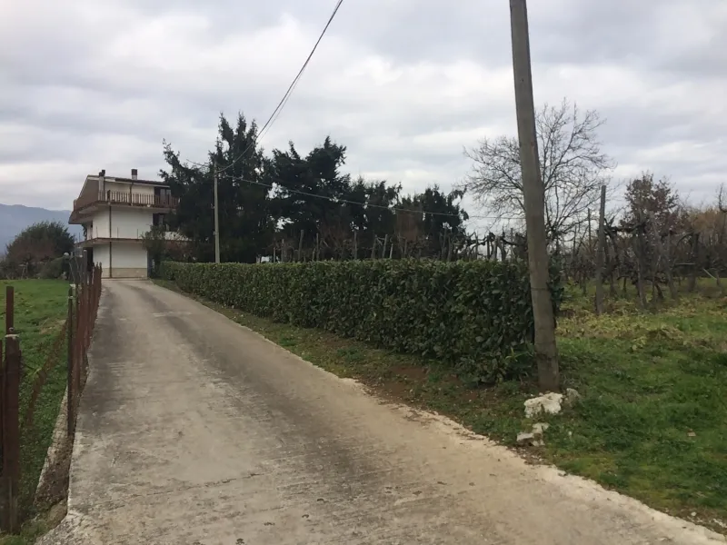 Rustico in vendita a Patrica - foto 5