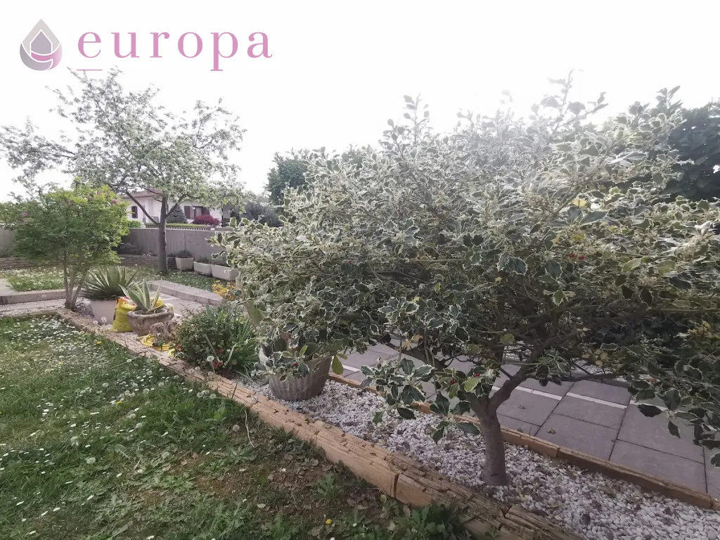 Villetta a schiera in vendita a Roveredo in Piano - foto 3