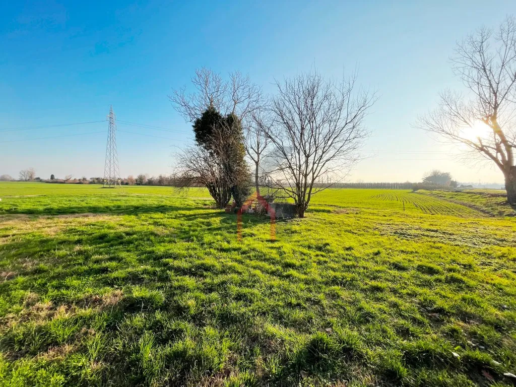 Casa indipendente in vendita a Forlì - foto 4
