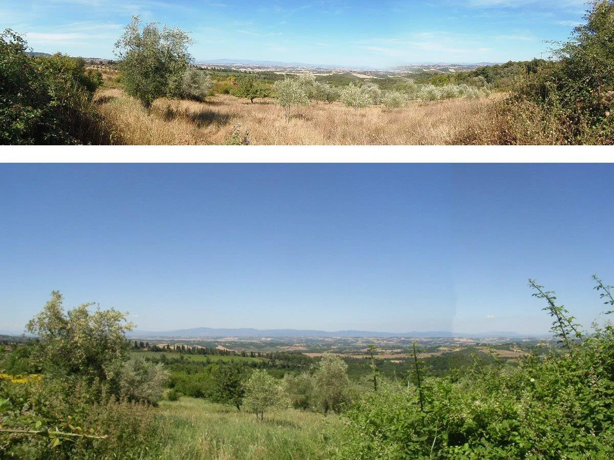 Rustico in vendita a Sarteano - foto 2