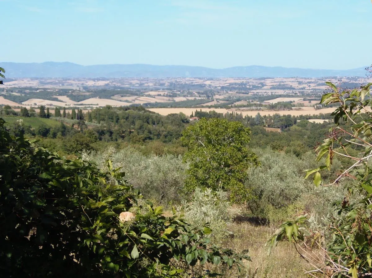 Rustico in vendita a Sarteano - foto 9