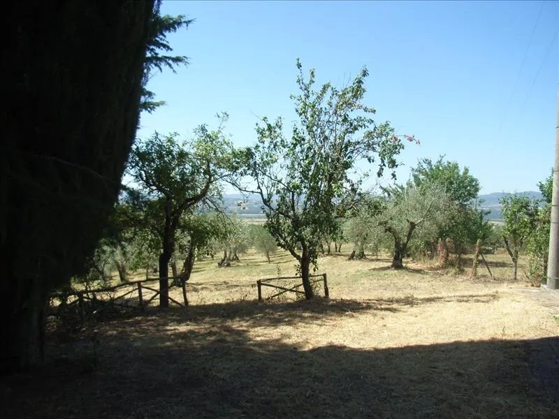 Rustico in vendita a Città della Pieve - foto 6