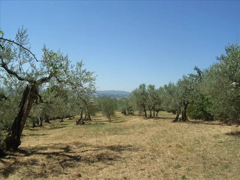Rustico in vendita a Città della Pieve - foto 7