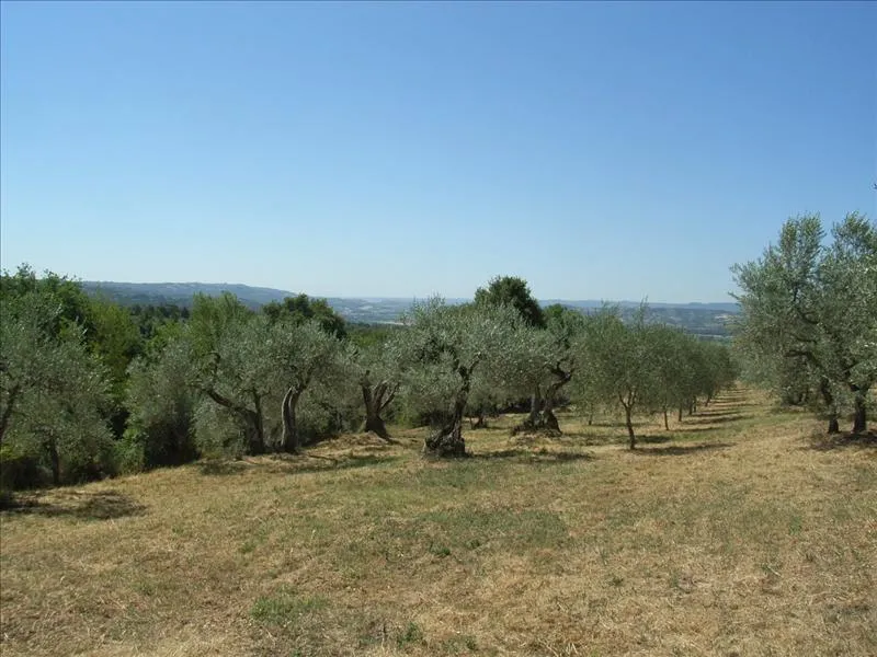 Rustico in vendita a Città della Pieve - foto 8