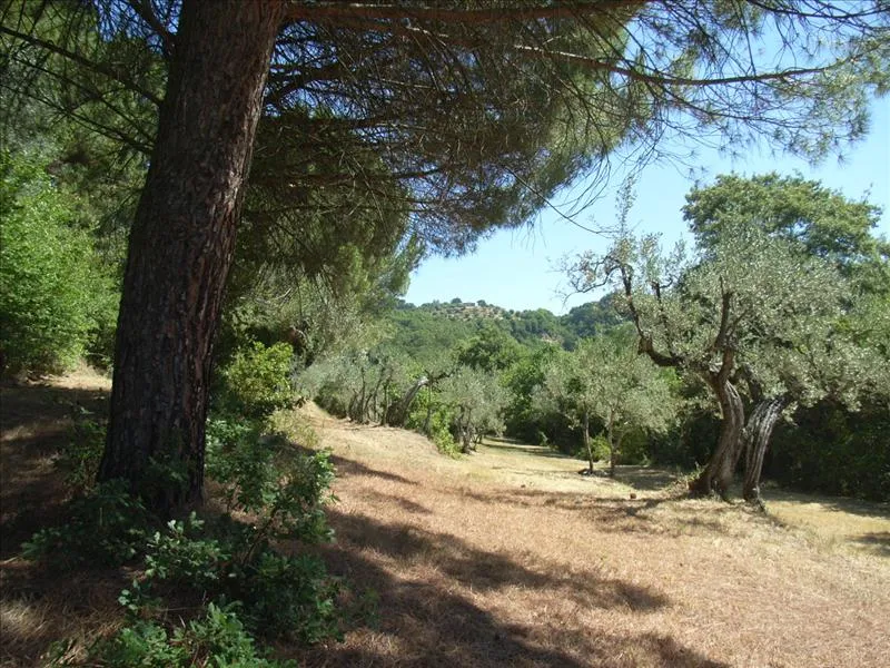 Rustico in vendita a Città della Pieve - foto 9