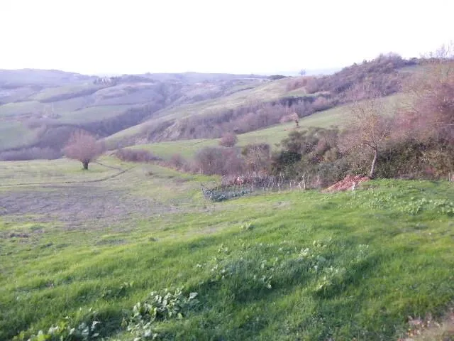 Rustico in vendita a Radicofani - foto 2