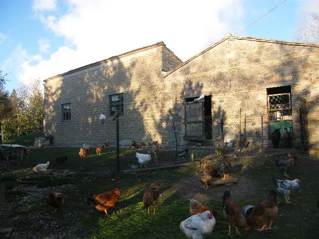 Rustico in vendita a Radicofani - foto 4