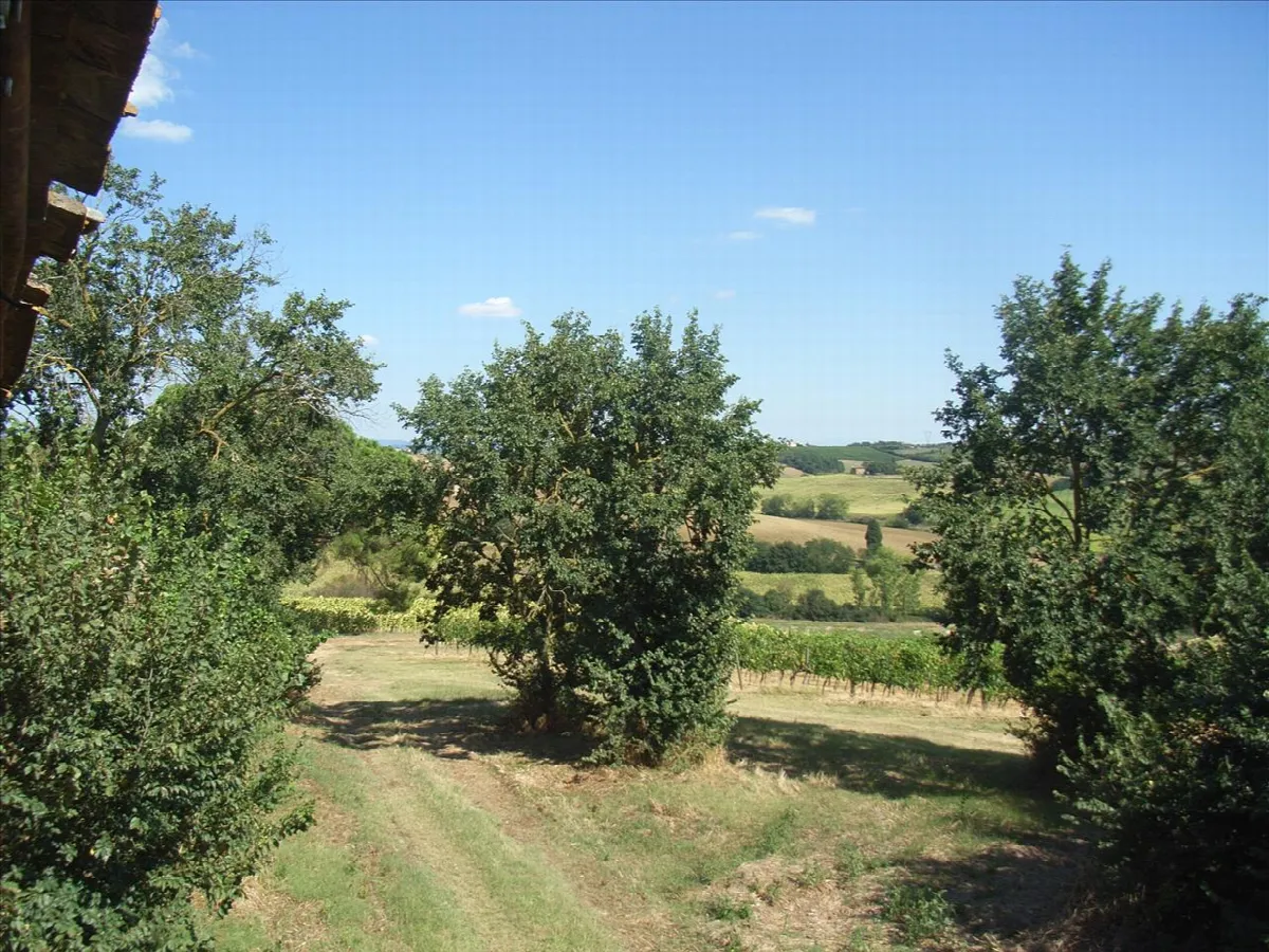 Rustico in vendita a Montepulciano - Valiano - foto 5