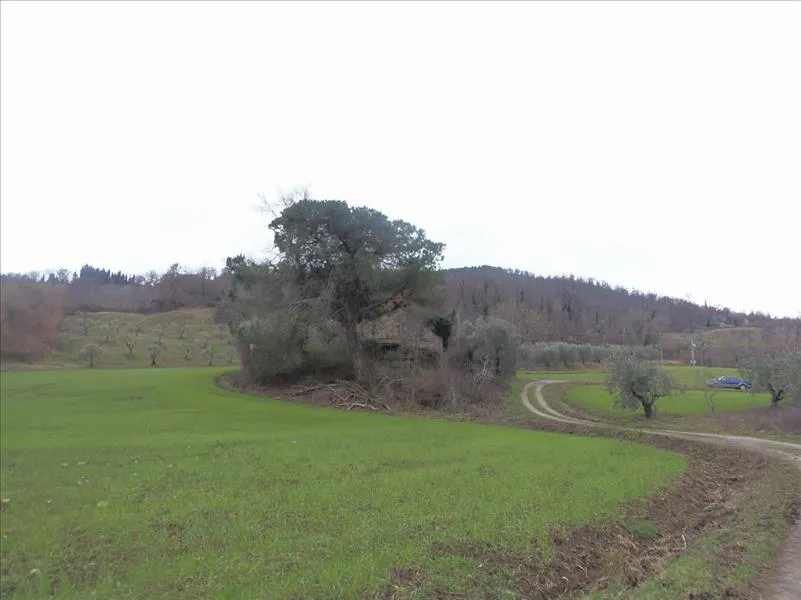 Rustico in vendita a San Casciano dei Bagni - foto 9