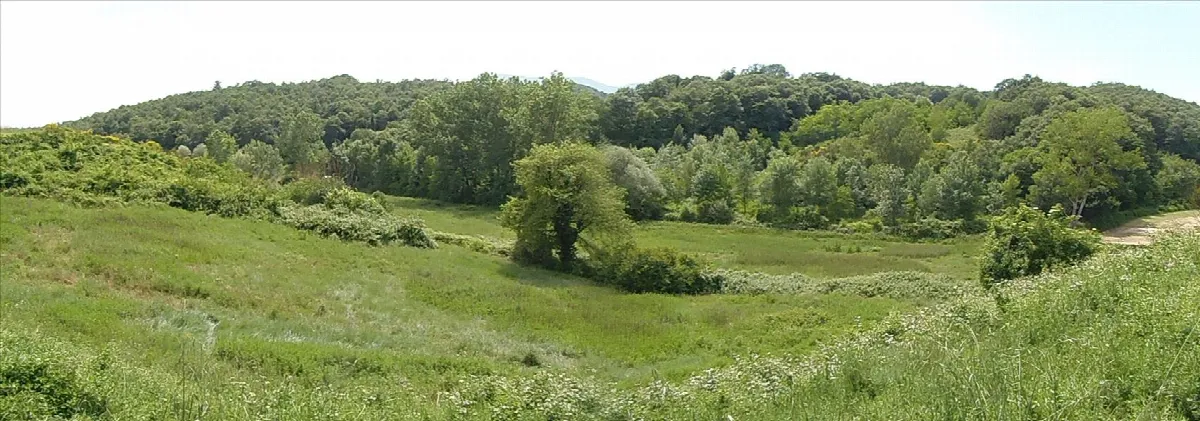 Rustico in vendita a Chiusi - foto 10