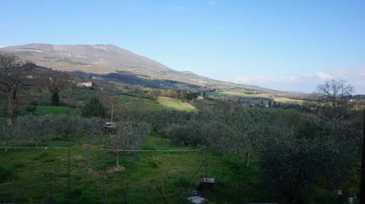 Villa in vendita a Cetona - foto 9