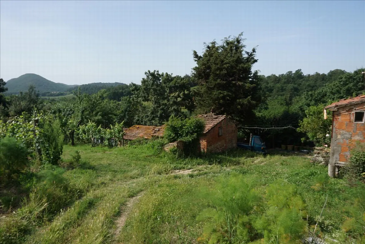 Rustico in vendita a Trequanda - foto 2