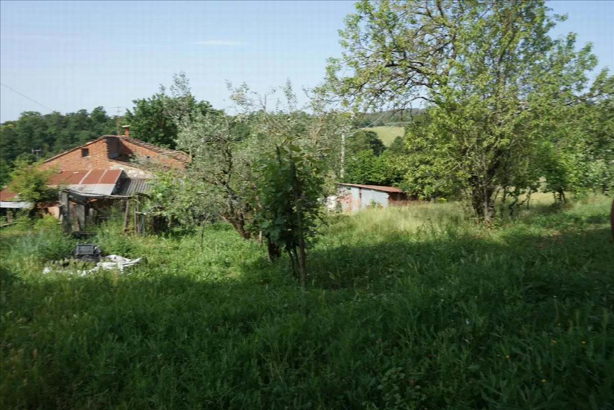 Rustico in vendita a Trequanda - foto 6