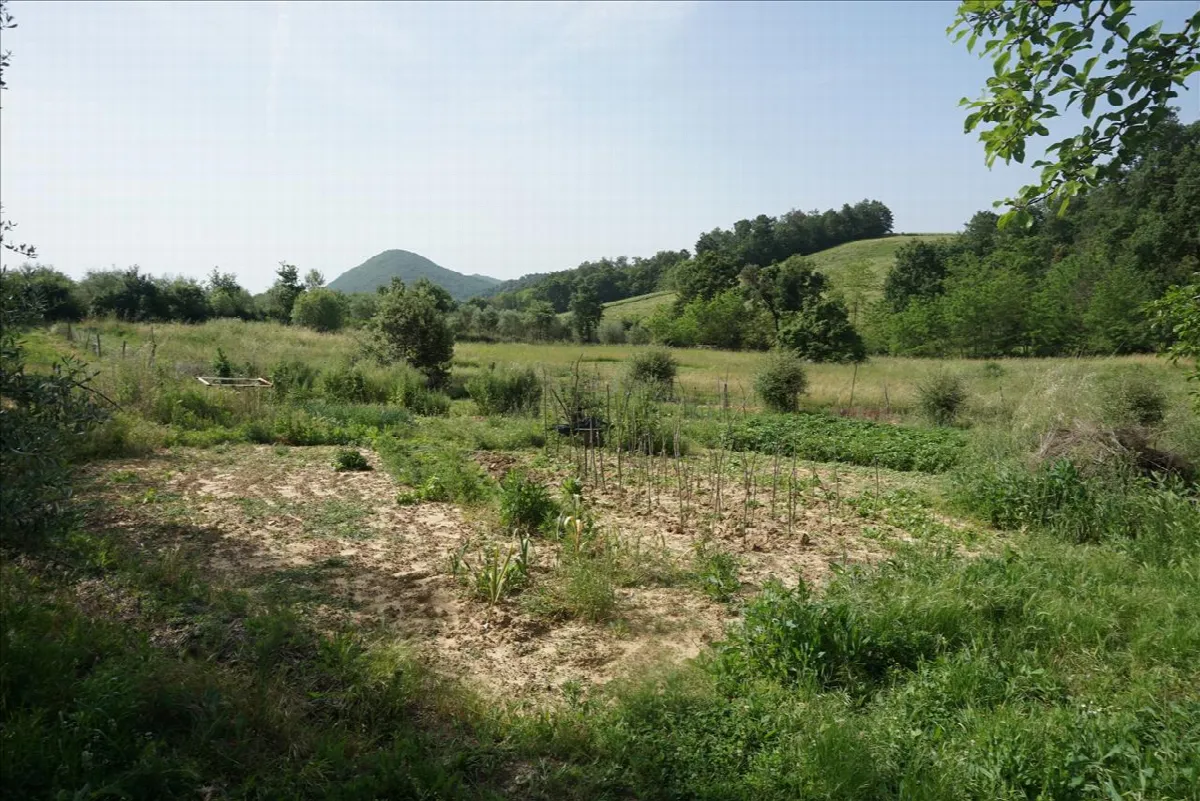 Rustico in vendita a Trequanda - foto 7