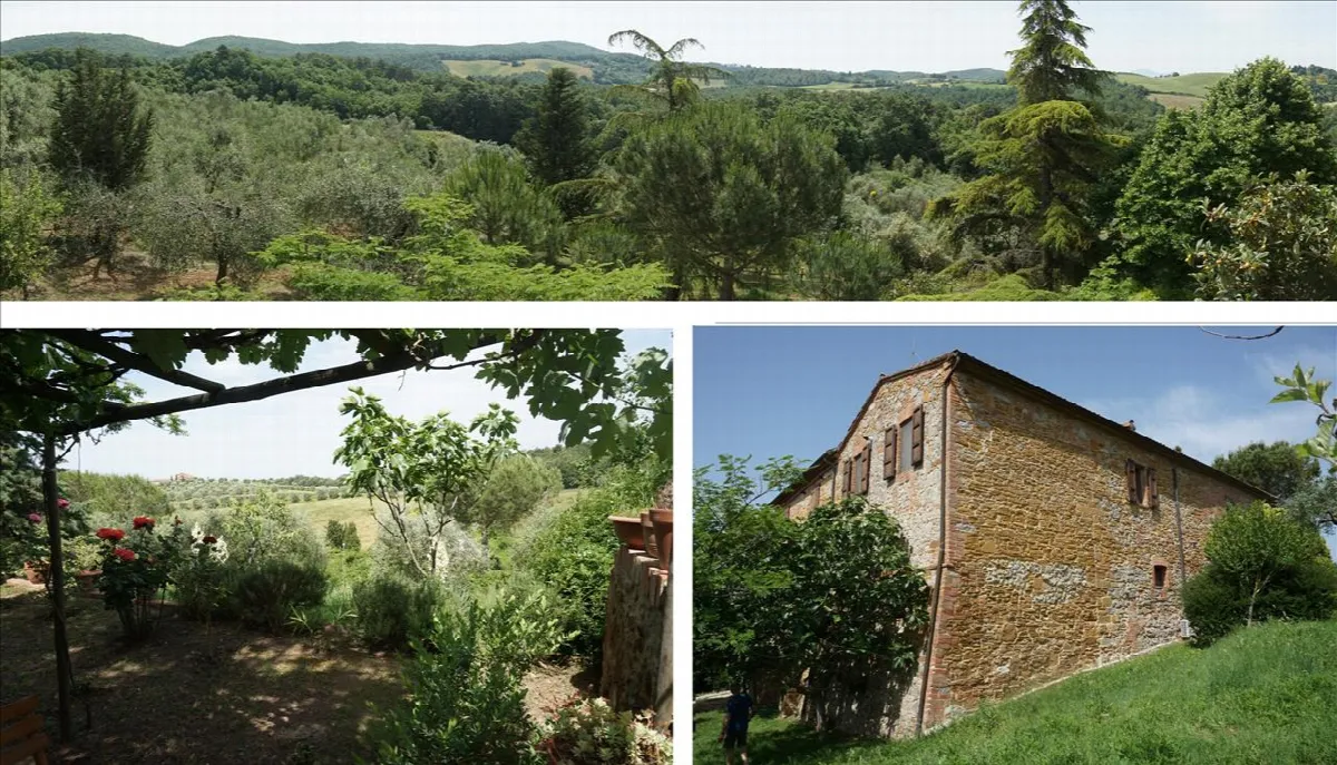 Rustico in vendita a Trequanda - foto 10