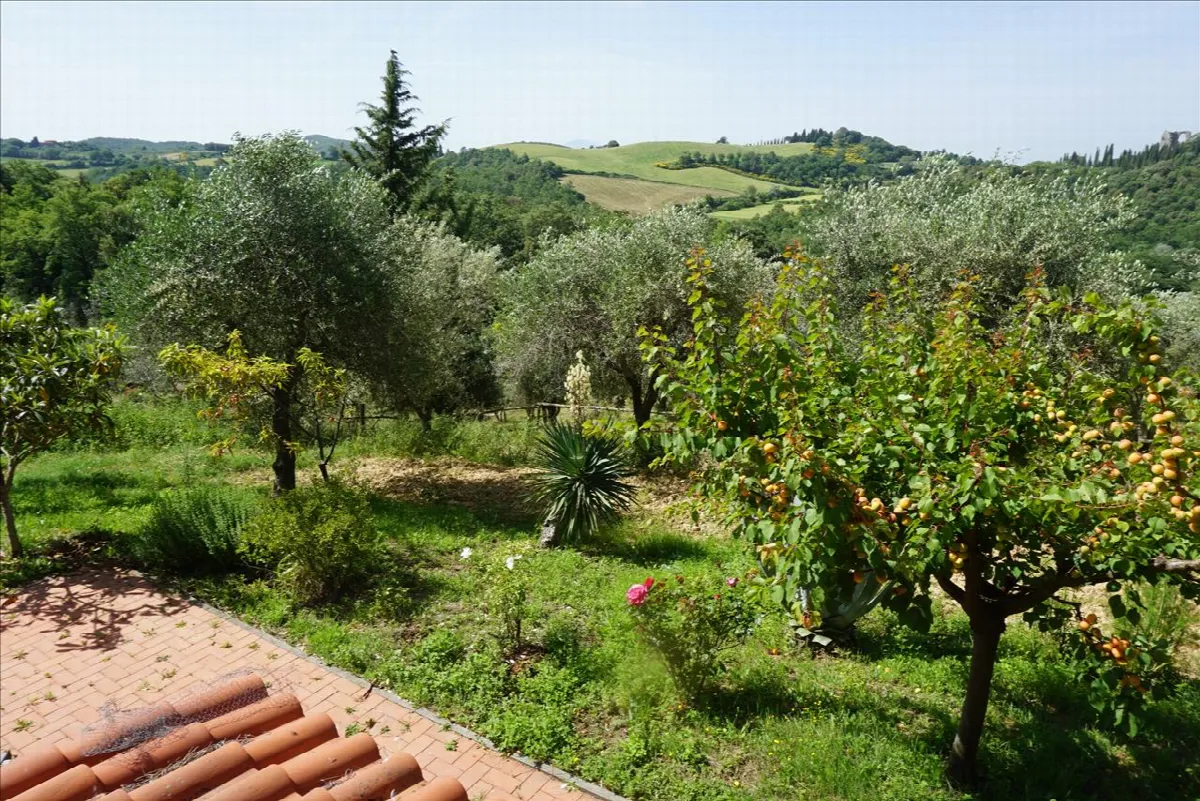 Rustico in vendita a Trequanda - foto 3