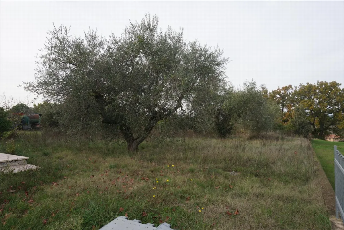 Casa indipendente in vendita a Castiglione del Lago - foto 10