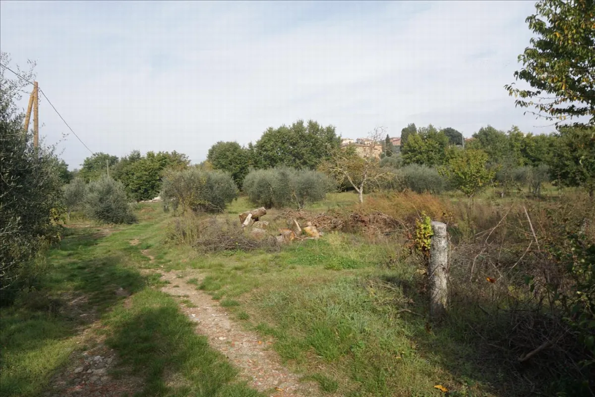 Rustico in vendita a Sinalunga - foto 5