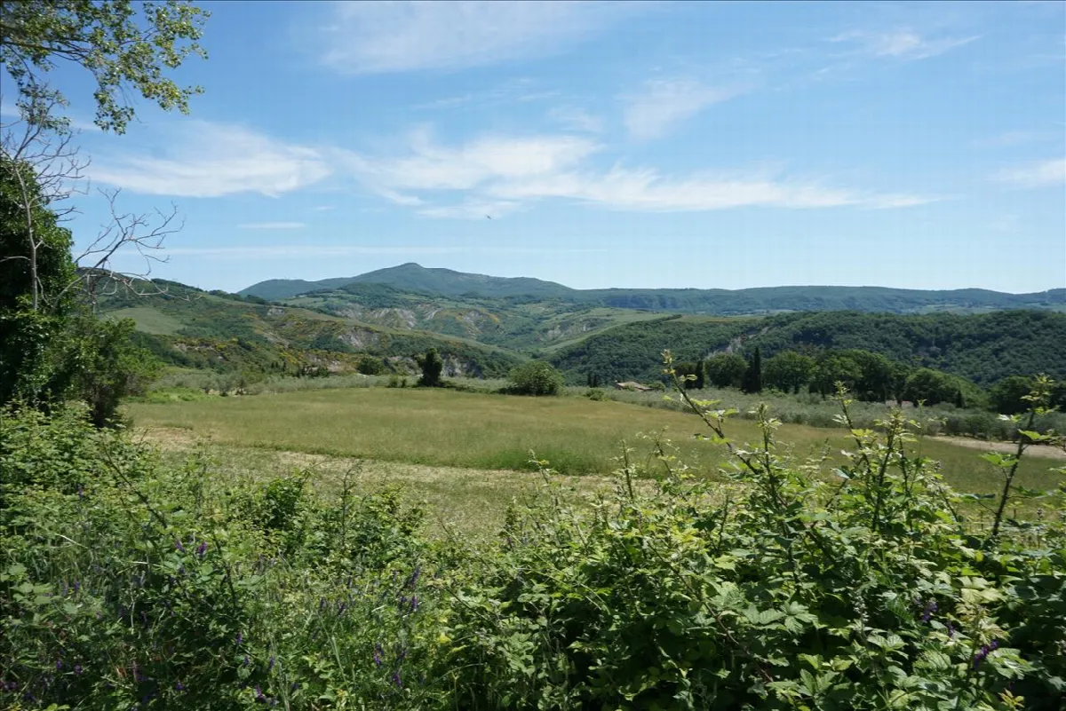 Rustico in vendita a Radicofani - foto 4