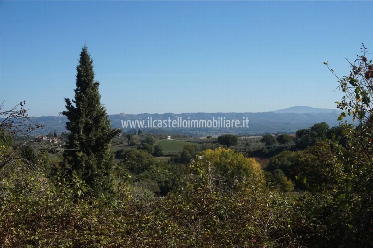 Villa in vendita a Cetona - Piazze - foto 4
