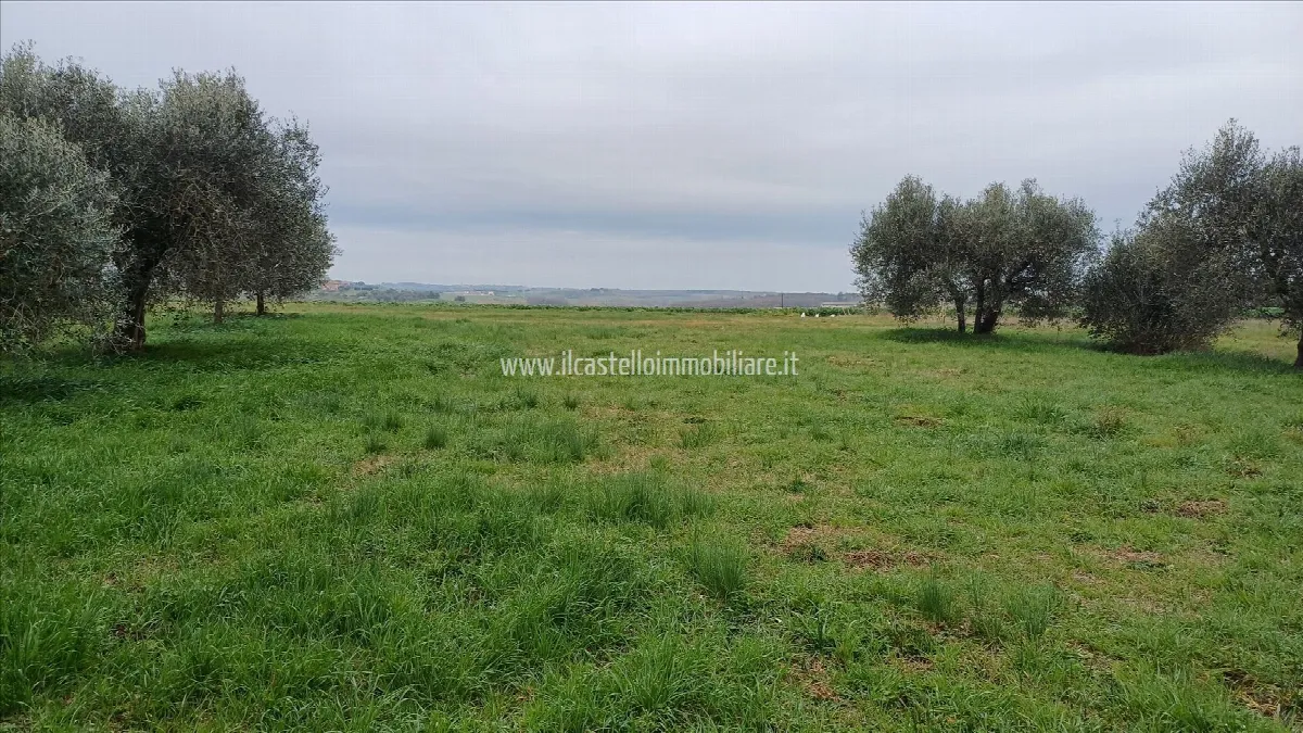 Villa in vendita a Castiglione del Lago - Ranciano - foto 4