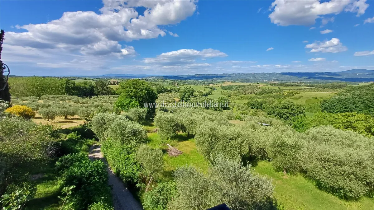 Villa in vendita a Cetona - Piazze - foto 6