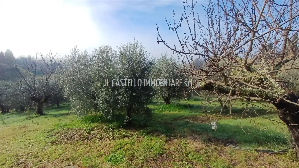 Rustico in vendita a Trequanda - foto 3