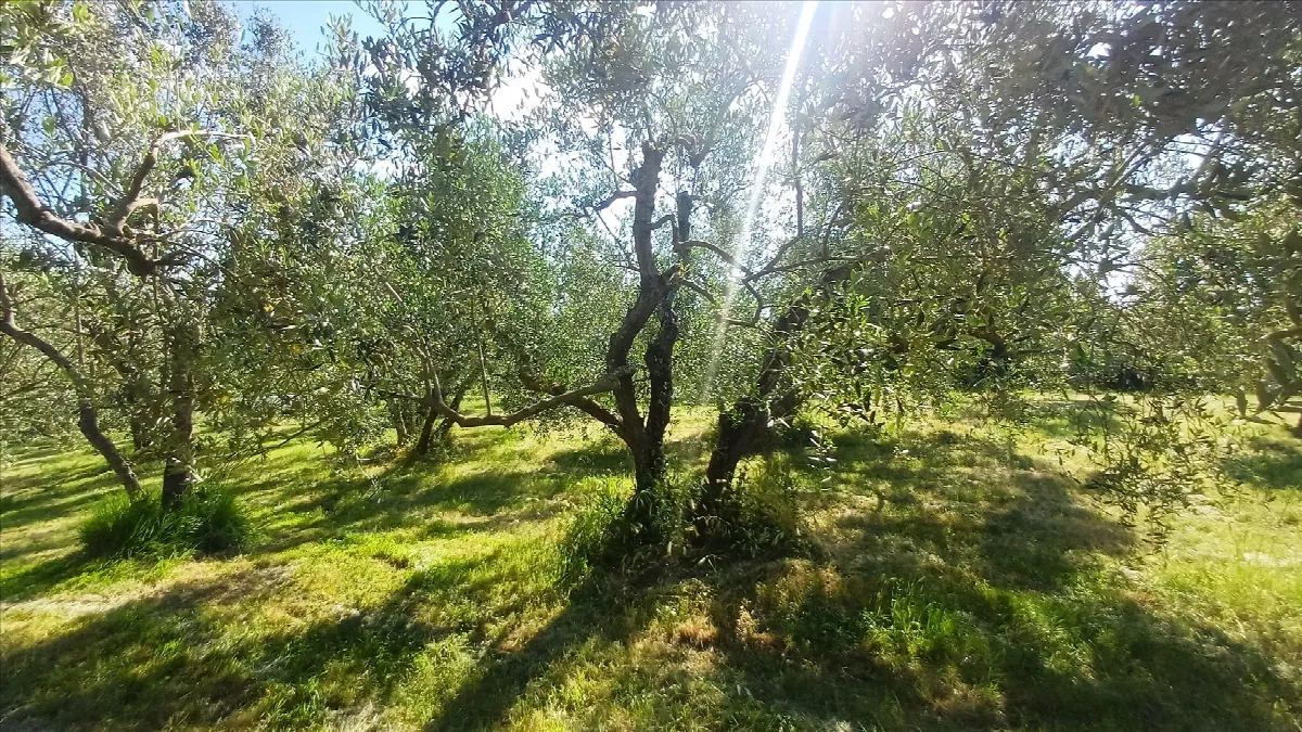 Rustico in vendita a Montepulciano - Acquaviva - foto 10
